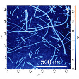AFM image of lysozyme fibrils measured in air