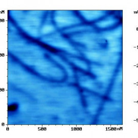 ЭСМ изображение углеродных нанотрубок