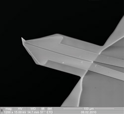 Сканирующая тепловая микроскопия (СТеМ), РЭМ изображение СТеМ зонда