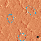 AFM topography magnitude of the surface of LiCoO2 cathodes from the used battery