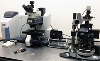 Характеризация материалов с применением комбинированного АСМ-Раман микроскопа