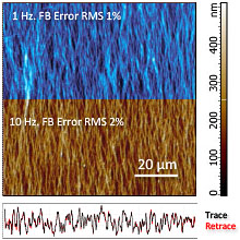 image of collagen fibers<br>captured @ 1 & 10Hz scanning rates